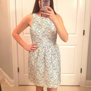 Lace Tulip Shape Dress